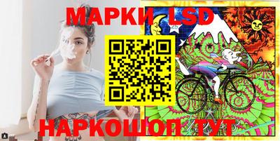 стаф Пенза