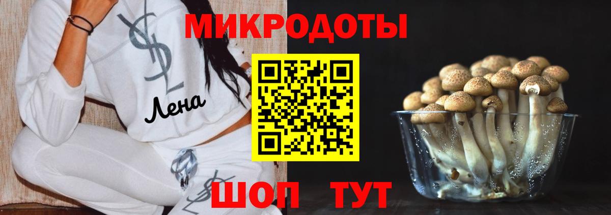 где можно купить   Псилоцибиновые грибы мухоморы  Саров  Вход с VPN  Псилоцибиновые грибы MAGIC MUSHROOMS 